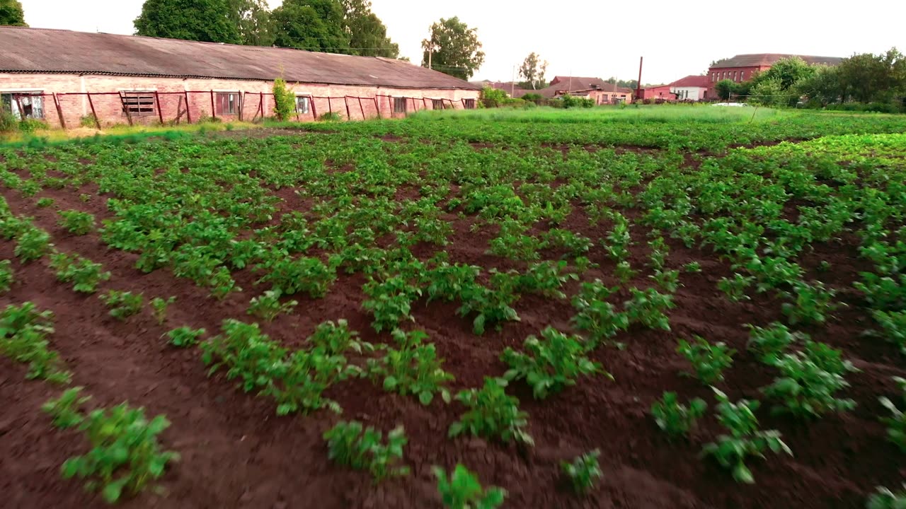 A poultry house beside green fields on the farm